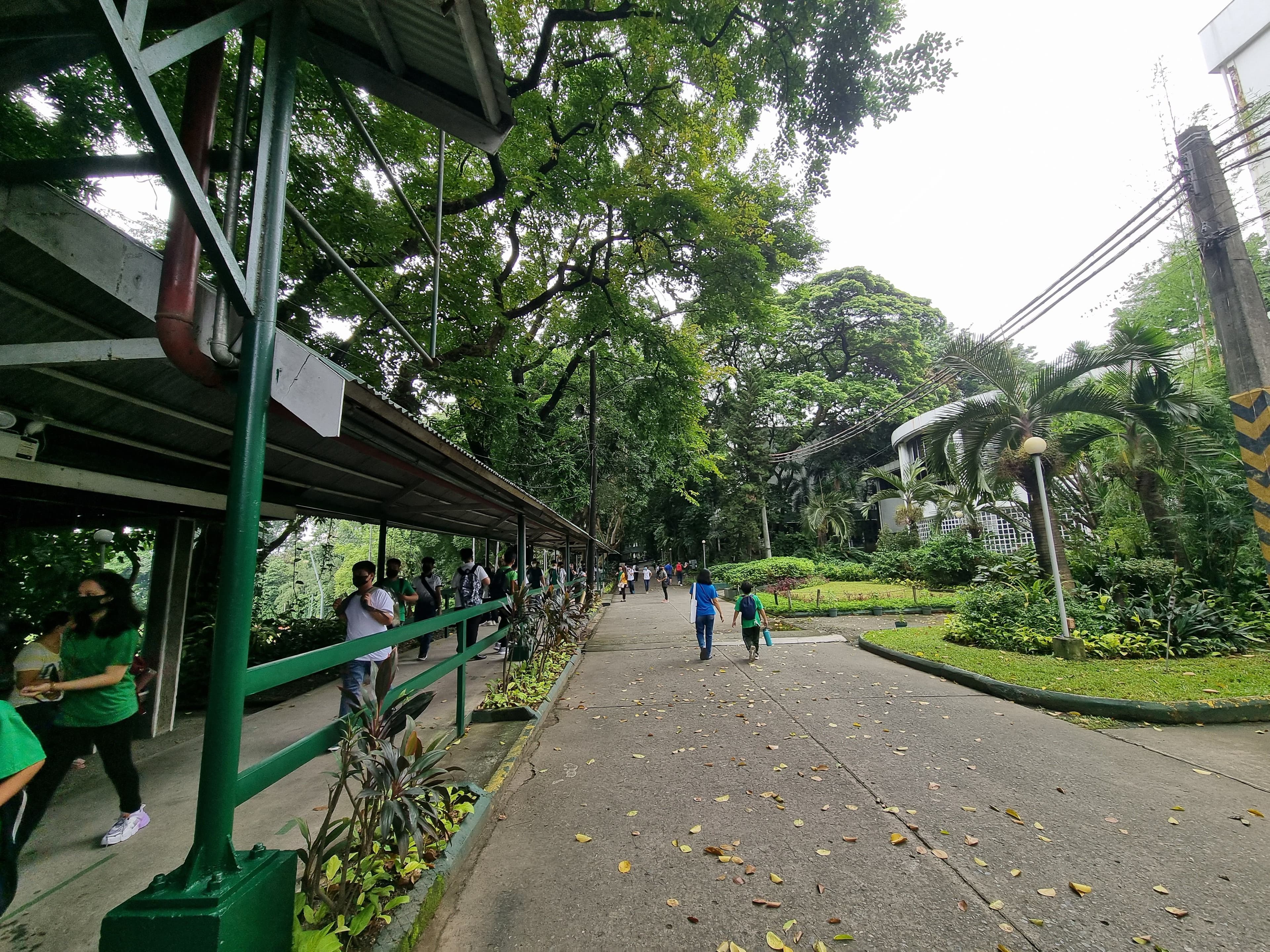 德拉薩大學Araneta校區附設語言學校 (DLSAU_LLC ) 預覽圖 1