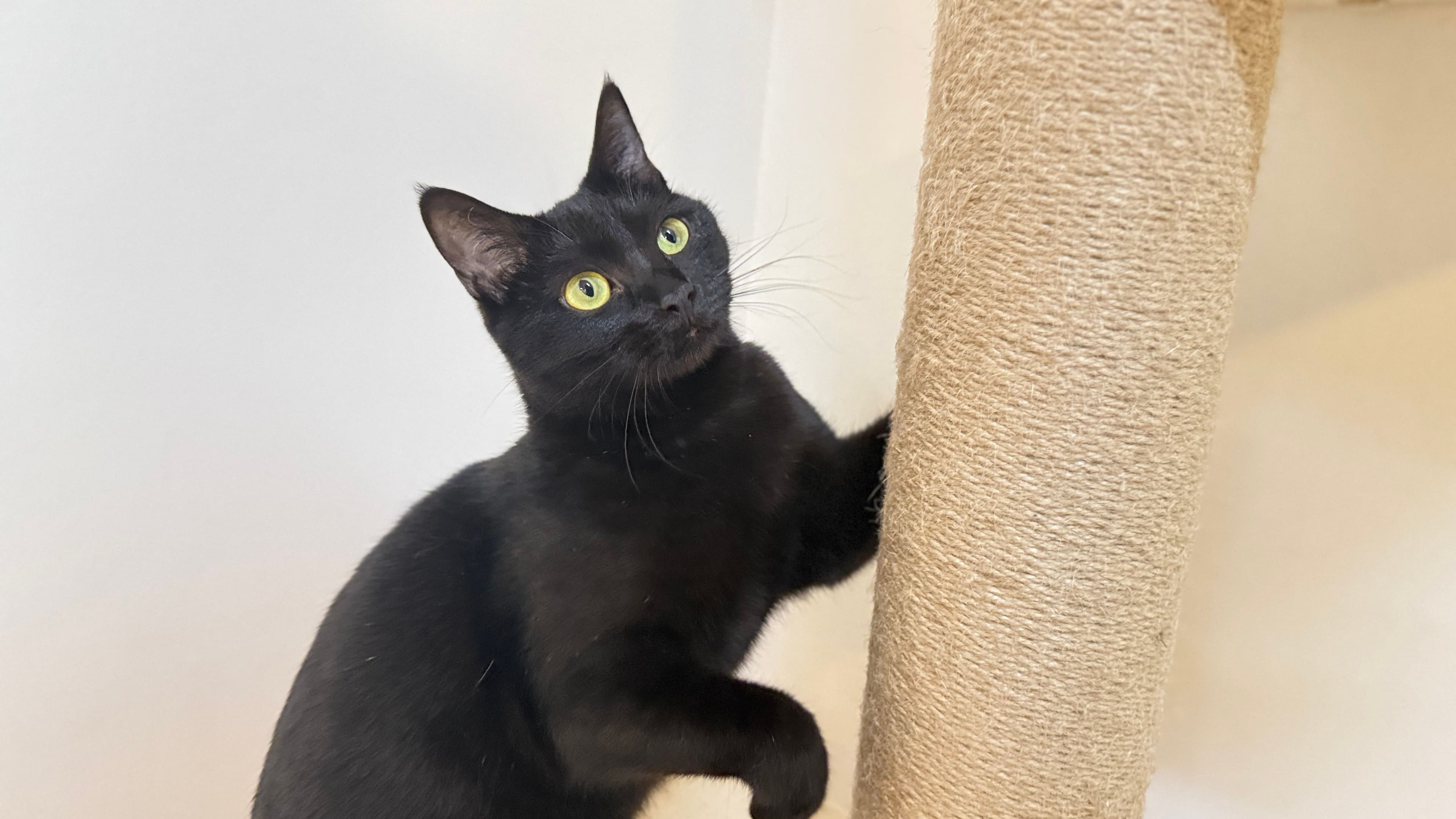 BECI City 預覽圖 3