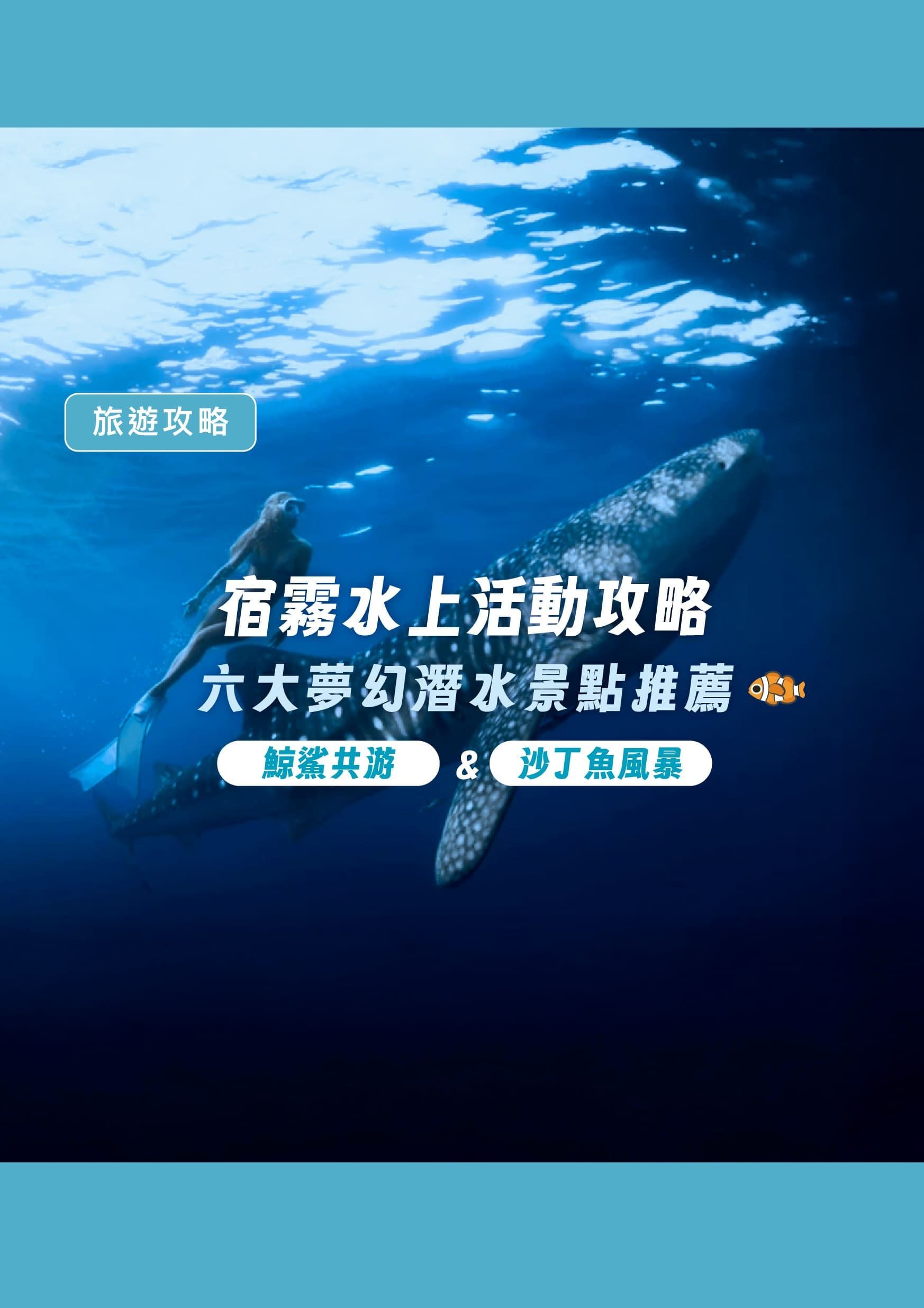 宿霧水上活動攻略|鯨鯊共游與沙丁魚風暴!六大夢幻潛水景點推薦 - 遨圖遊學OutTo Study